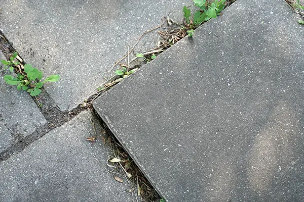 Driveway Repair/Leveling